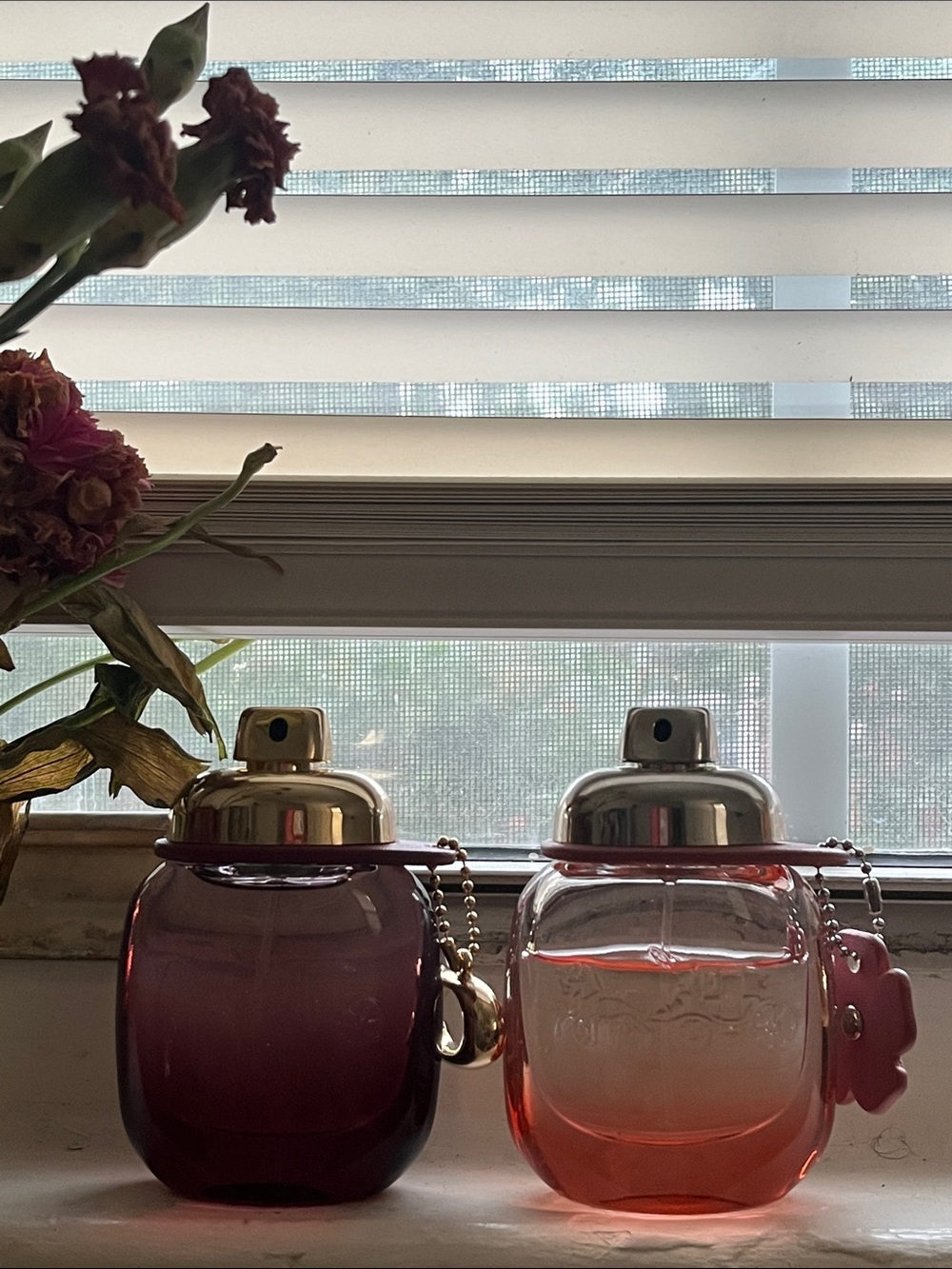 Coach Wild Rose 🥀 & Coach Floral Blush 🌺 EDP’S